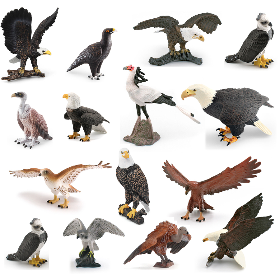 Kids Education Things - Realistic Wildlife Animal Birds of Prey