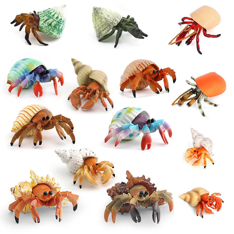 Kids Education Things - Realistic Hermit Crab Figurine Durable PVC