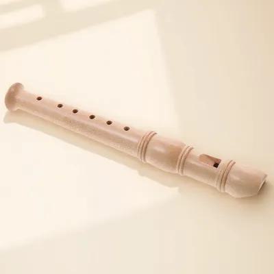 Kids Education Design - Educational Soprano Recorder for Kids Professional