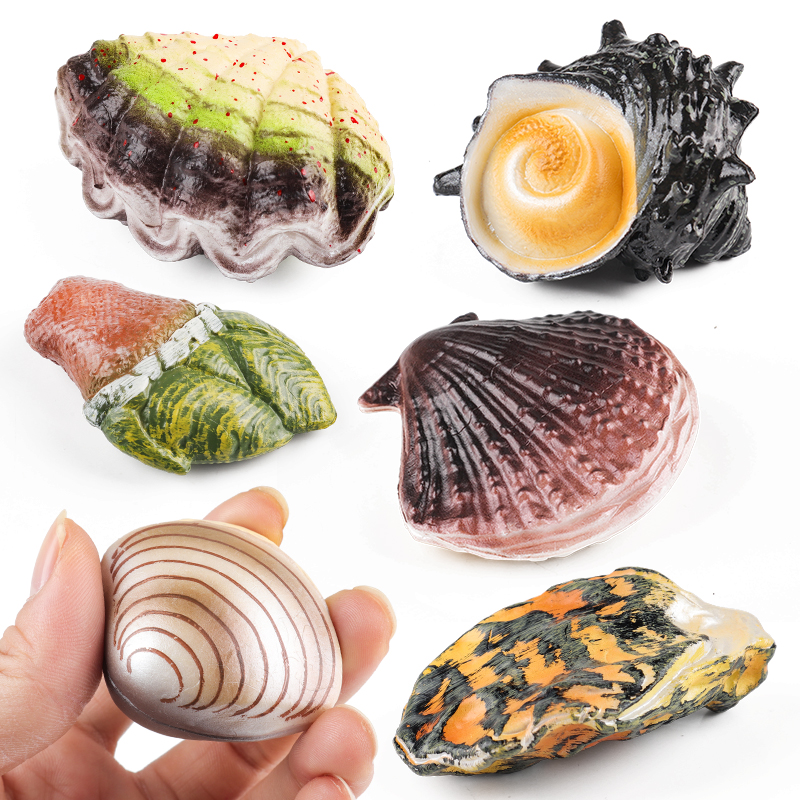 Kids Without Education - Oenux Ocean Oyste Scallop Starfish Seashell