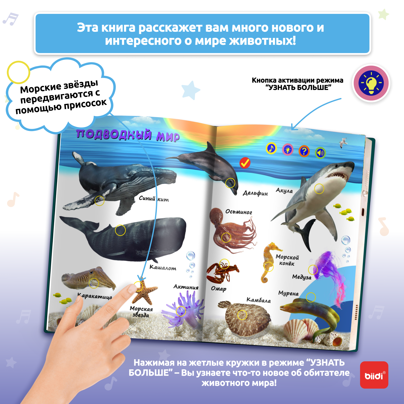 Biidi learning game for kids M - Education Kids Ru reseña y precio
