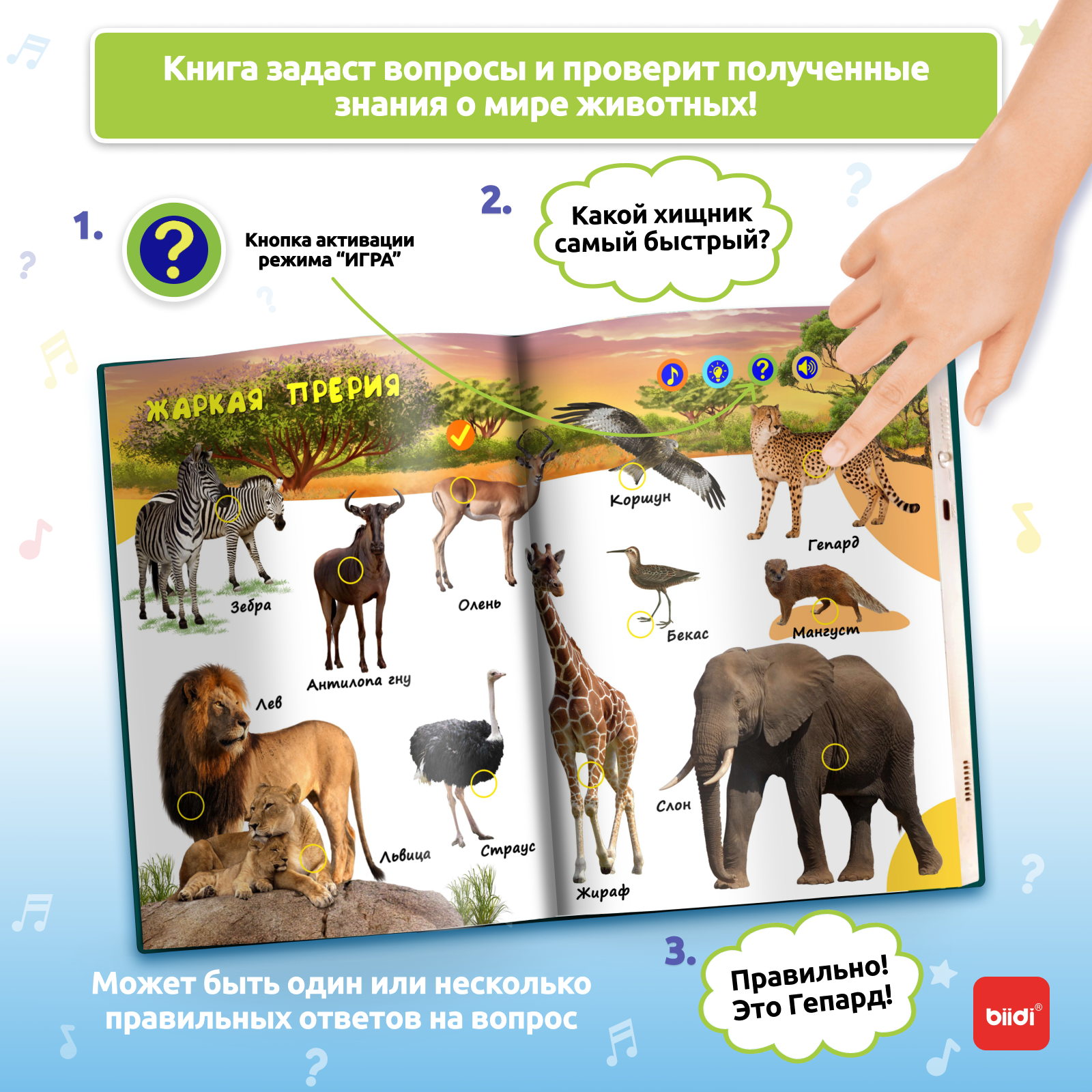 Biidi learning game for kids M - Education Kids Ru reseña y precio
