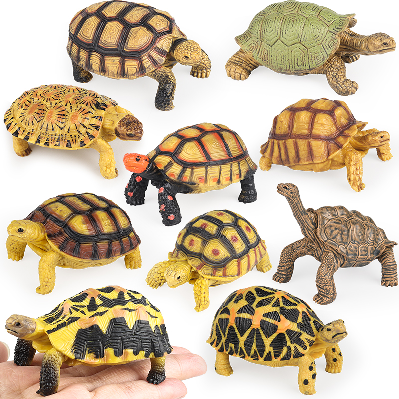 Oenux Reptile Animals Star Tur - Kids Without Education reseña y precio