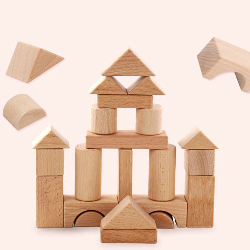 22pcs Building Blocks Beech Wo - Kids Education Login reseña y precio