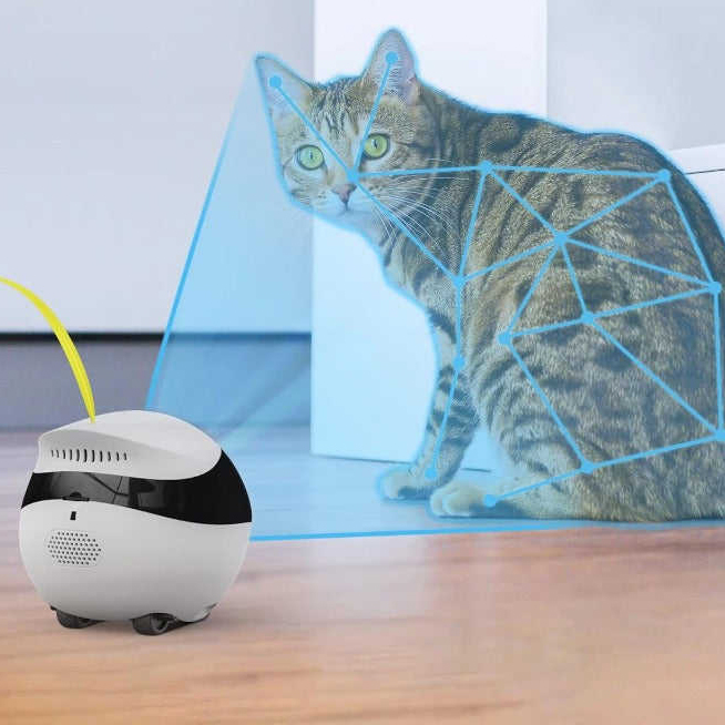 Wireless Smart  With Mobile Ap - Kids Education Mobile App reseña y precio