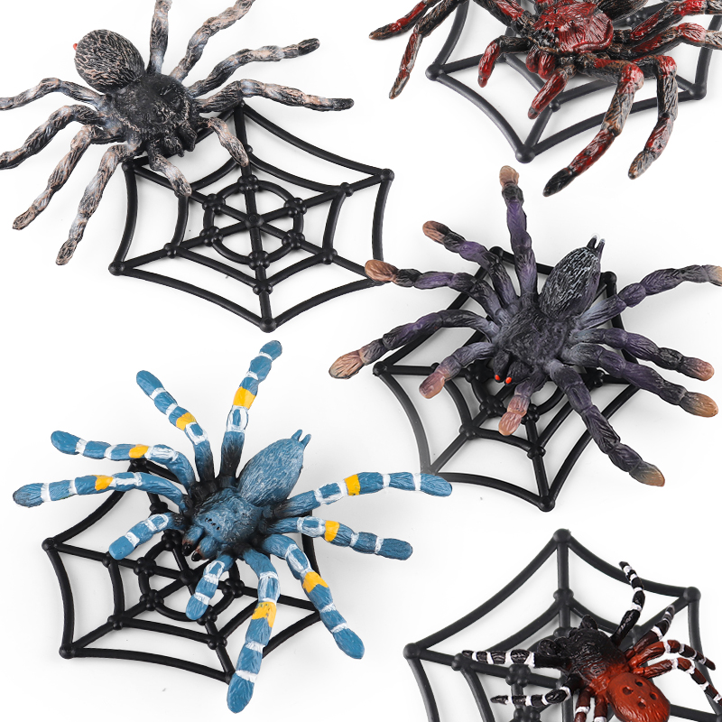Oenux Insect Animals Model Spi - Kids Without Education reseña y precio