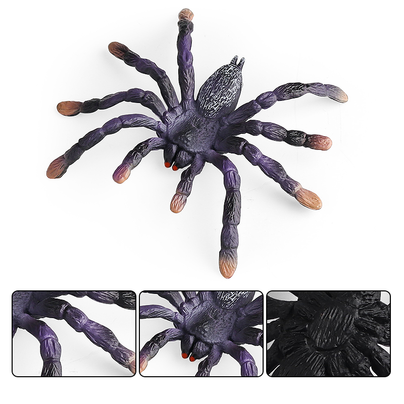 Oenux Insect Animals Model Spi - Kids Without Education reseña y precio