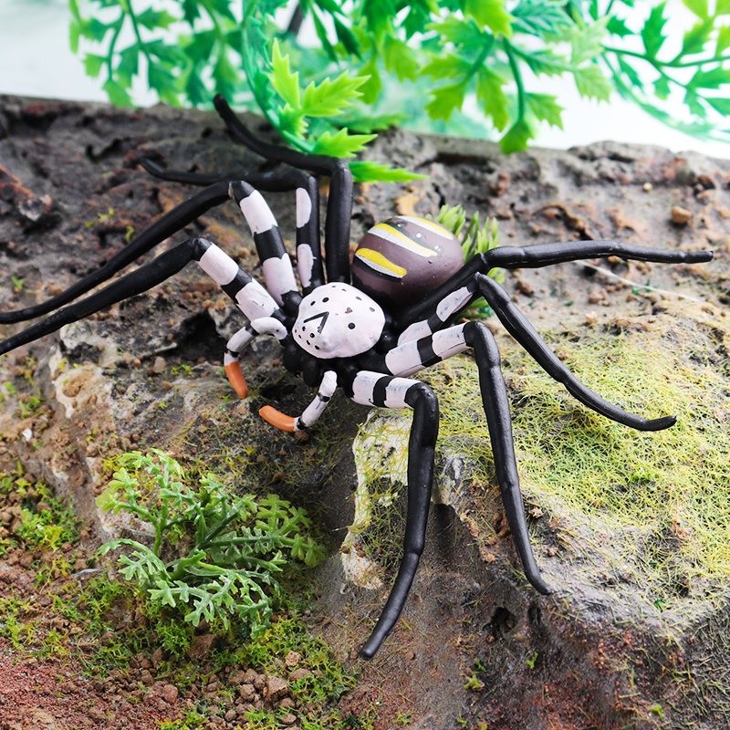 Oenux Insect Animals Model Spi - Kids Without Education reseña y precio