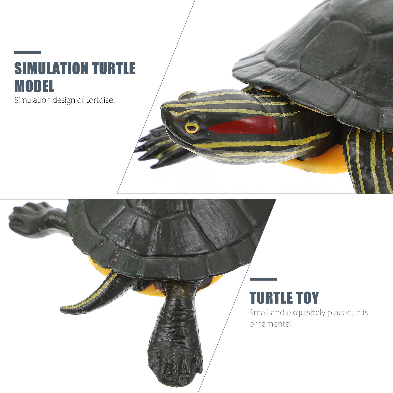 Educational Turtle Sculpture P - Kids Education Design reseña y precio