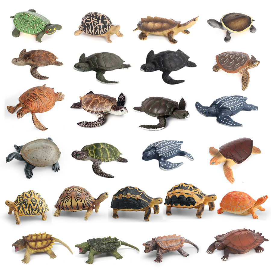 Simulation Chinese Softshell L - Kids Education Things reseña y precio