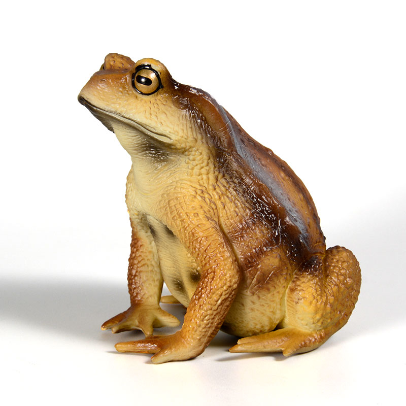 Amphibian Frog figure insect M - Kids First Education reseña y precio