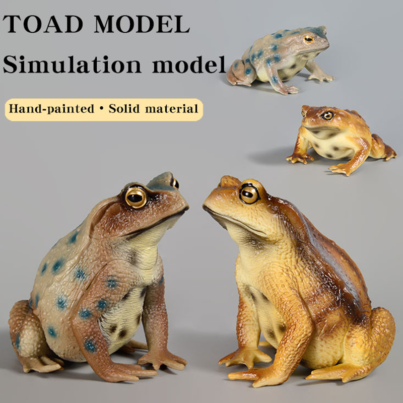 Amphibian Frog figure insect M - Kids First Education reseña y precio