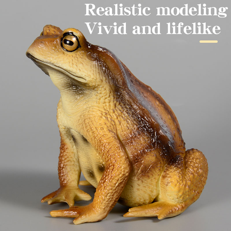 Amphibian Frog figure insect M - Kids First Education reseña y precio