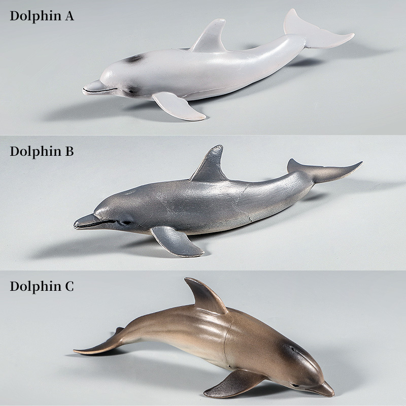 Ocean Marine Animal Underwater - Kids Without Education reseña y precio