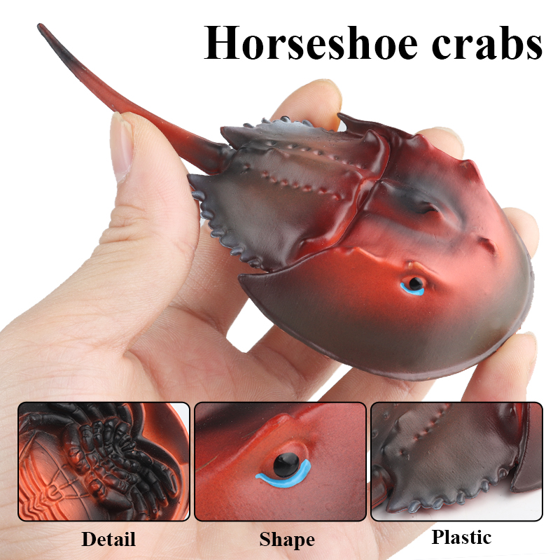 Oenux Sea Life Animals Octopus - Kids Without Education reseña y precio
