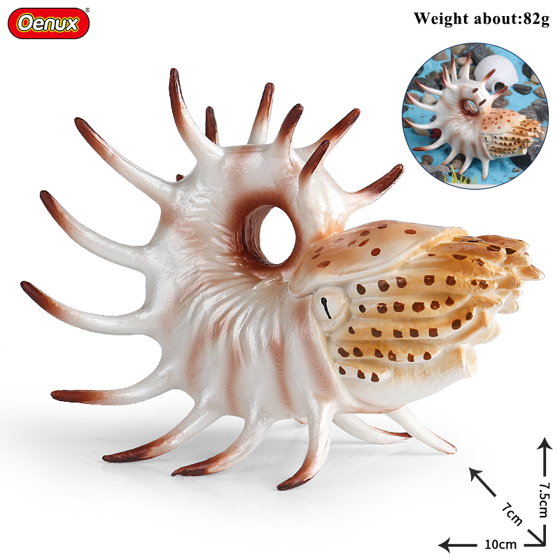 Oenux Sea Life Animals Coral O - Kids Without Education reseña y precio