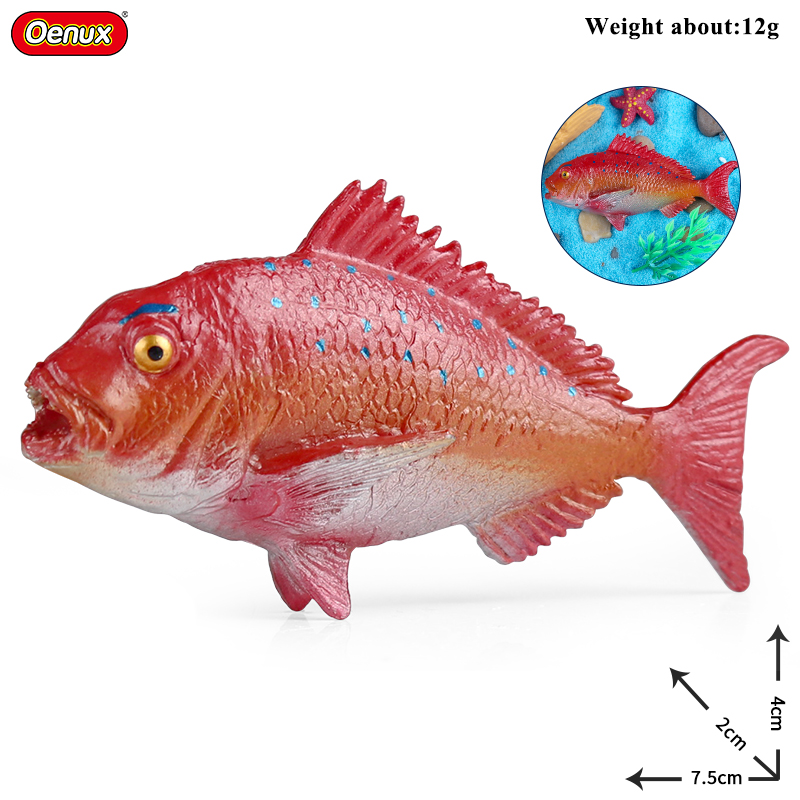 Oenux Sea Life Animals Coral O - Kids Without Education reseña y precio