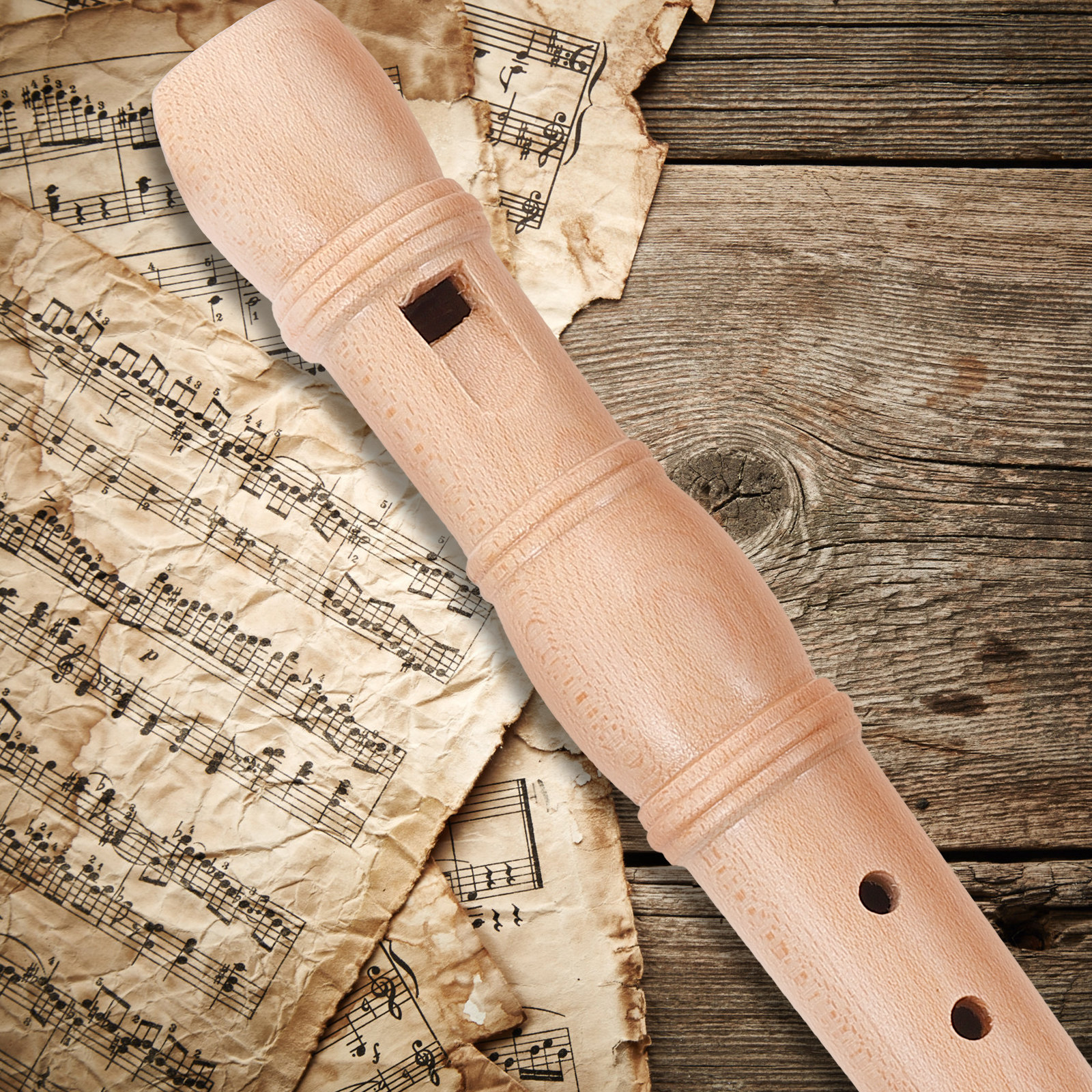 Educational Soprano Recorder f - Kids Education Design reseña y precio