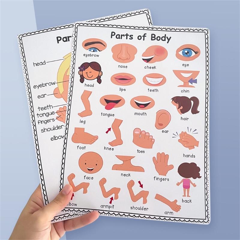 Colorful Educational Poster Te - Kids Educational Poster reseña y precio