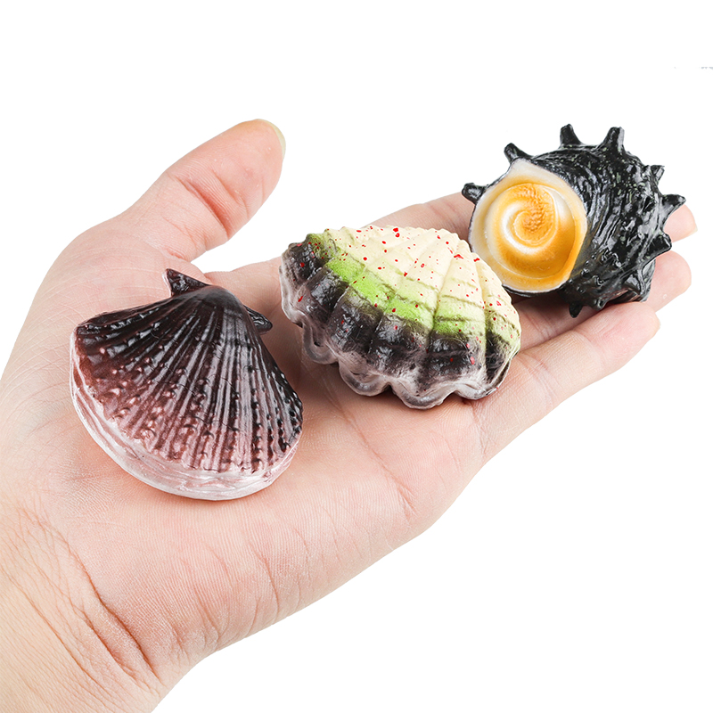 Oenux Ocean Oyste Scallop Star - Kids Without Education reseña y precio