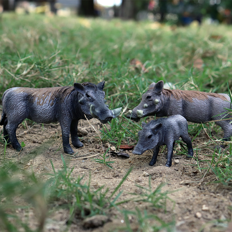 Oenux Wild boar Tapirus Indicu - Kids Without Education reseña y precio