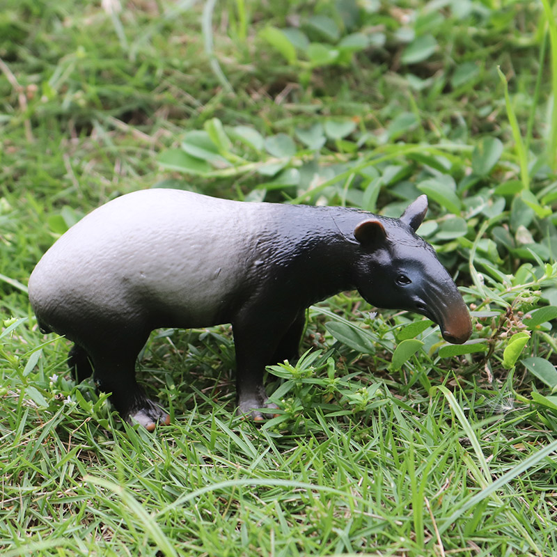 Oenux Wild boar Tapirus Indicu - Kids Without Education reseña y precio