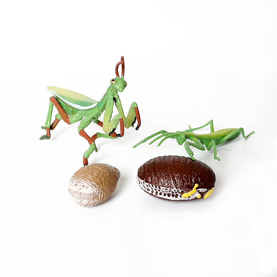 Realistic Orchid Mantis Dead L - Kids Education Things reseña y precio